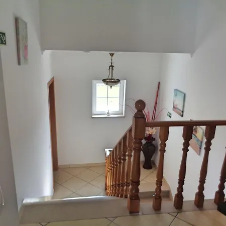 Coelho - By Algarkasa アルブフェイラ