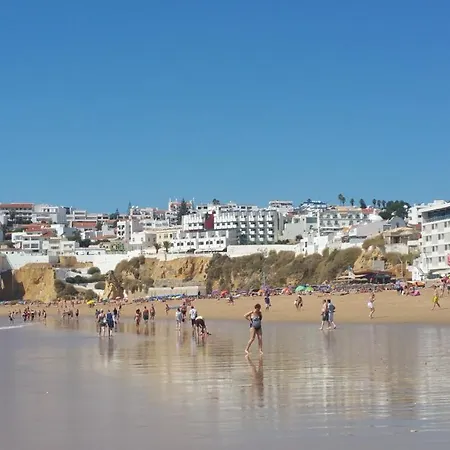 Coelho - By Algarkasa *