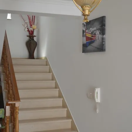 Coelho - By Algarkasa * アルブフェイラ