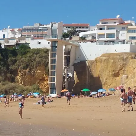 Coelho - By Algarkasa