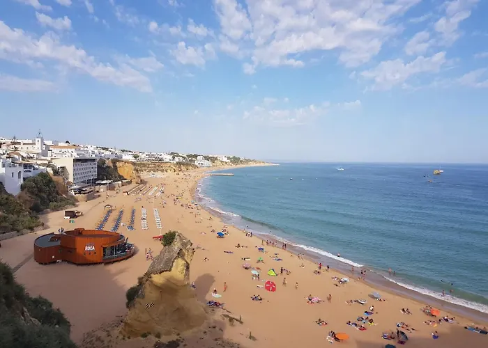 Coelho - By Algarkasa * Albufeira