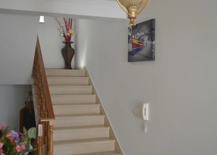 Coelho - By Algarkasa * Albufeira