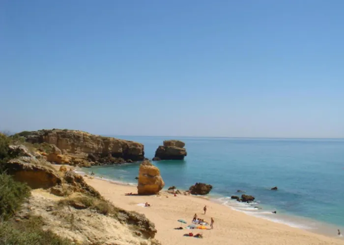 Coelho - By Algarkasa *