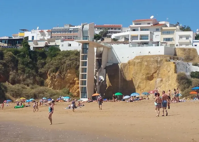 Coelho - By Algarkasa