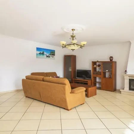 Coelho - By Algarkasa *